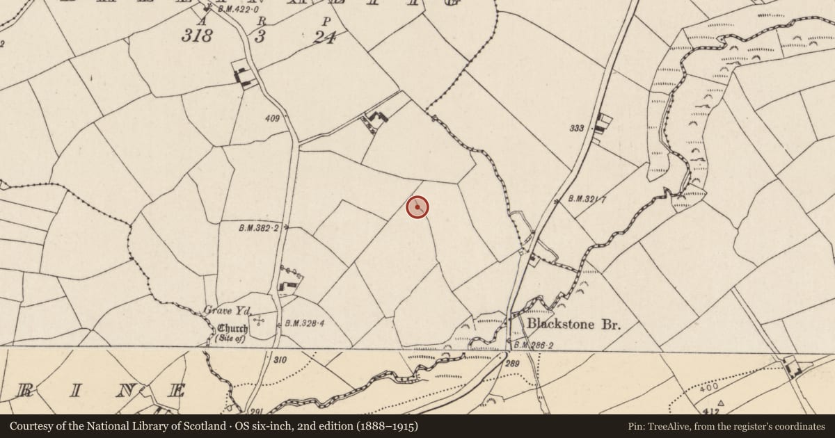 Ordnance Survey six-inch map, 2nd edition (1888–1915) covering the location of Burnt mound, Ballinaltig, County Cork, with a pin at the register's coordinates