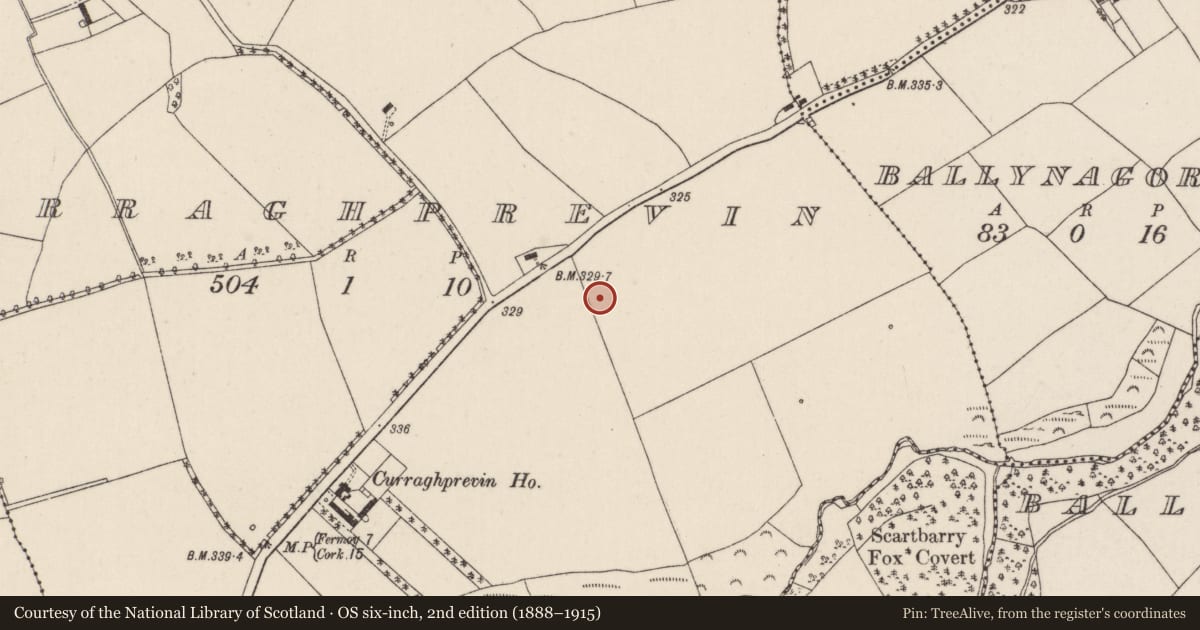 Ordnance Survey six-inch map, 2nd edition (1888–1915) covering the location of Burnt mound, Curraghprevin, County Cork, with a pin at the register's coordinates