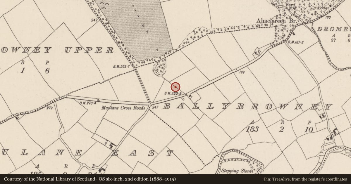 Ordnance Survey six-inch map, 2nd edition (1888–1915) covering the location of House - Bronze Age, Ballybrowney Lower, County Cork, with a pin at the register's coordinates