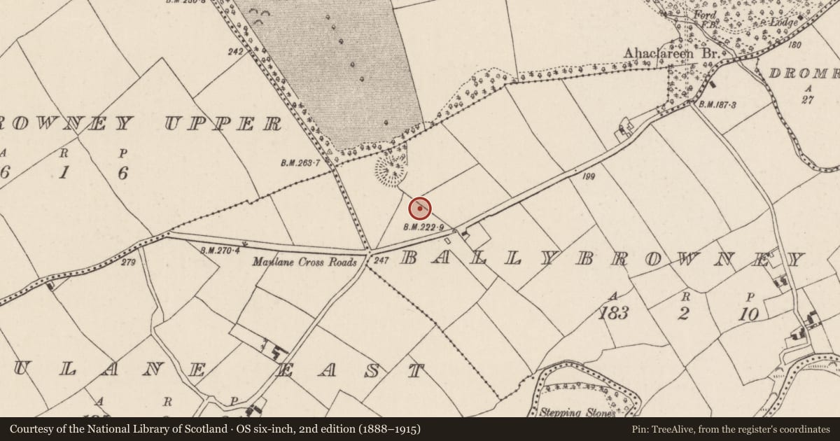 Ordnance Survey six-inch map, 2nd edition (1888–1915) covering the location of Structure, Ballybrowney Lower, County Cork, with a pin at the register's coordinates