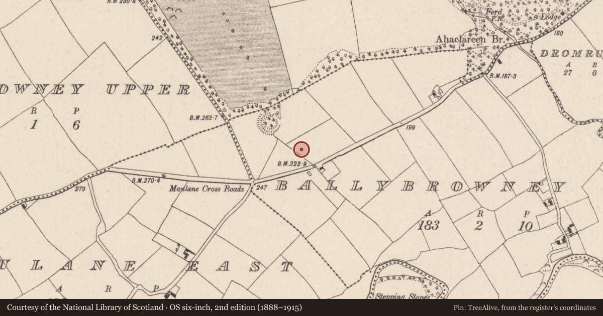 Ordnance Survey six-inch map, 2nd edition (1888–1915) covering the location of Enclosure, Ballybrowney Lower, County Cork, with a pin at the register's coordinates