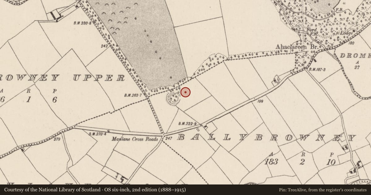 Ordnance Survey six-inch map, 2nd edition (1888–1915) covering the location of Enclosure, Ballybrowney Lower, County Cork, with a pin at the register's coordinates