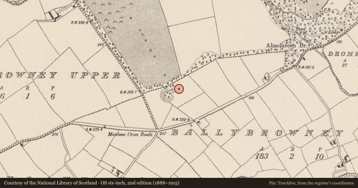 Ordnance Survey six-inch map, 2nd edition (1888–1915) covering the location of Excavation - miscellaneous, Ballybrowney Lower, County Cork, with a pin at the register's coordinates