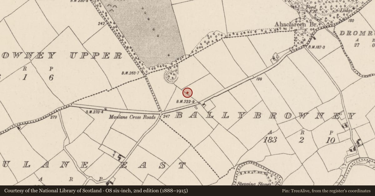 Ordnance Survey six-inch map, 2nd edition (1888–1915) covering the location of House - Bronze Age, Ballybrowney Lower, County Cork, with a pin at the register's coordinates