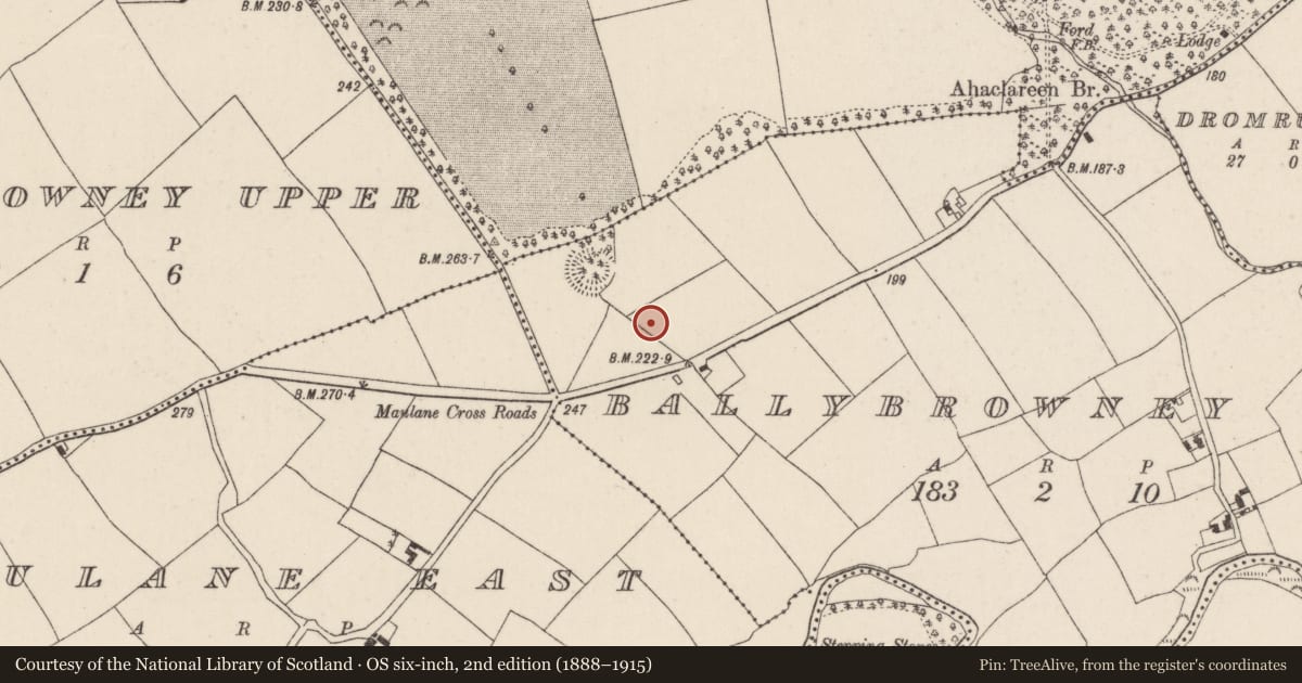 Ordnance Survey six-inch map, 2nd edition (1888–1915) covering the location of House - Bronze Age, Ballybrowney Lower, County Cork, with a pin at the register's coordinates