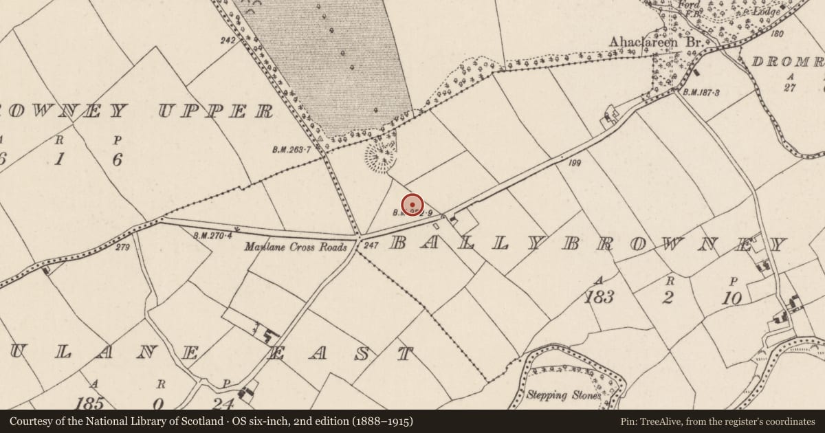 Ordnance Survey six-inch map, 2nd edition (1888–1915) covering the location of Structure, Ballybrowney Lower, County Cork, with a pin at the register's coordinates