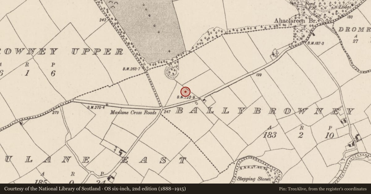 Ordnance Survey six-inch map, 2nd edition (1888–1915) covering the location of Kiln - corn-drying, Ballybrowney Lower, County Cork, with a pin at the register's coordinates