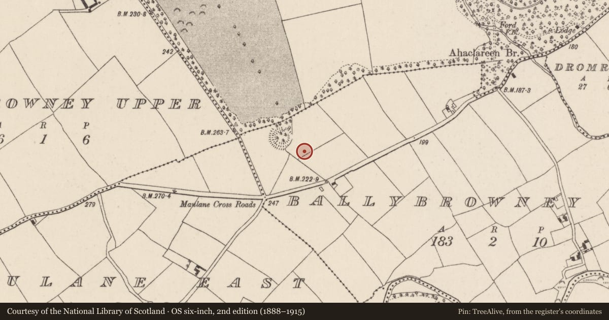 Ordnance Survey six-inch map, 2nd edition (1888–1915) covering the location of Kiln - corn-drying, Ballybrowney Lower, County Cork, with a pin at the register's coordinates
