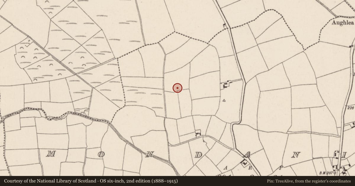 Ordnance Survey six-inch map, 2nd edition (1888–1915) covering the location of Kiln - lime, Mondaniel, County Cork, with a pin at the register's coordinates