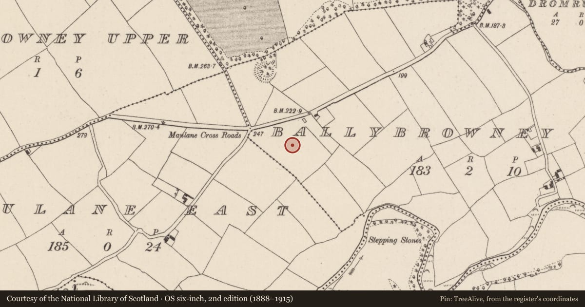 Ordnance Survey six-inch map, 2nd edition (1888–1915) covering the location of Excavation - miscellaneous, Ballybrowney Lower, County Cork, with a pin at the register's coordinates