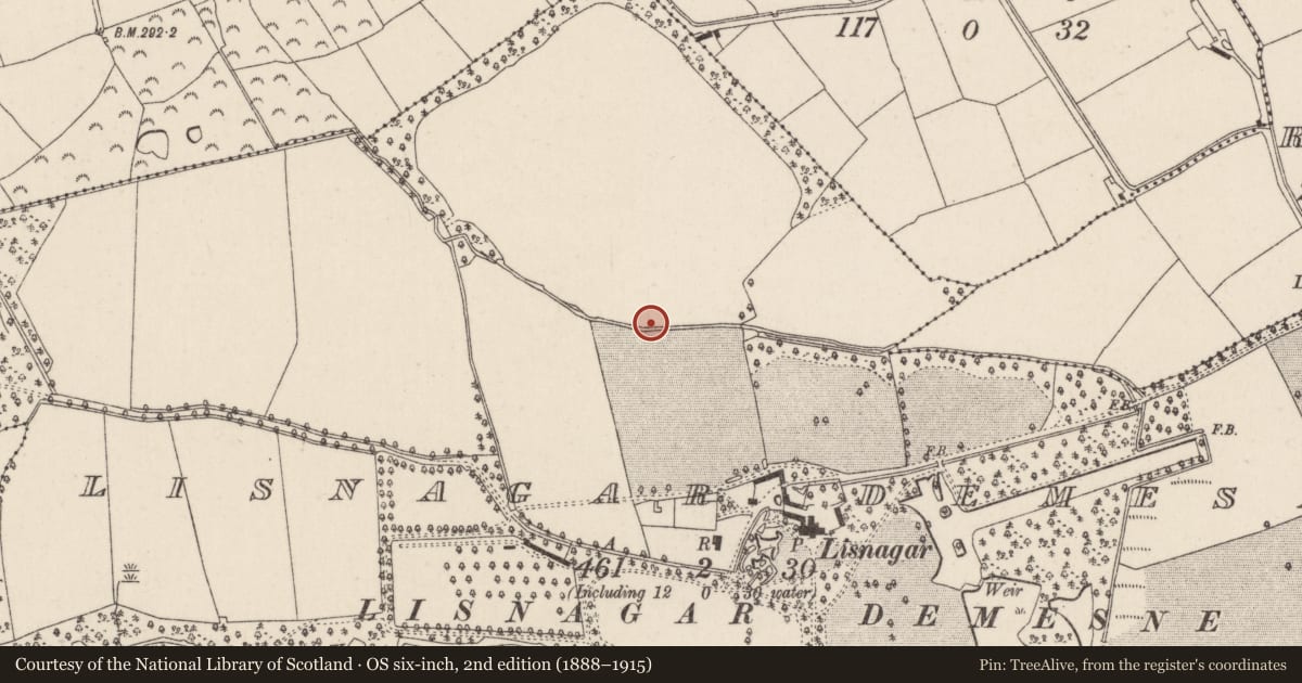 Ordnance Survey six-inch map, 2nd edition (1888–1915) covering the location of Fulacht fia, Lisnagar Demesne, County Cork, with a pin at the register's coordinates