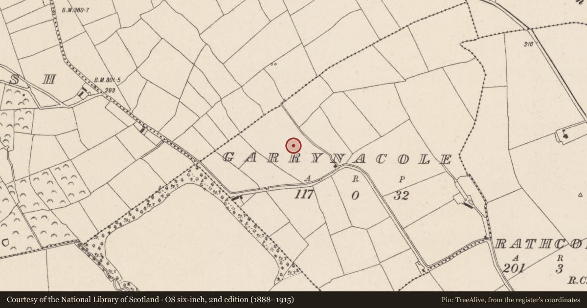 Ordnance Survey six-inch map, 2nd edition (1888–1915) covering the location of Excavation - miscellaneous, Garrynacole, County Cork, with a pin at the register's coordinates