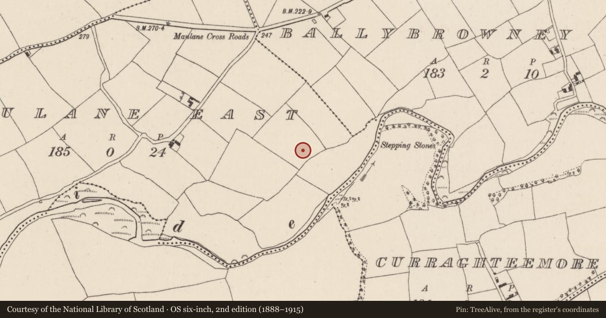 Ordnance Survey six-inch map, 2nd edition (1888–1915) covering the location of Excavation - miscellaneous, Maulane East, County Cork, with a pin at the register's coordinates