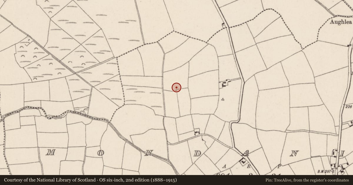 Ordnance Survey six-inch map, 2nd edition (1888–1915) covering the location of House - medieval, Mondaniel, County Cork, with a pin at the register's coordinates