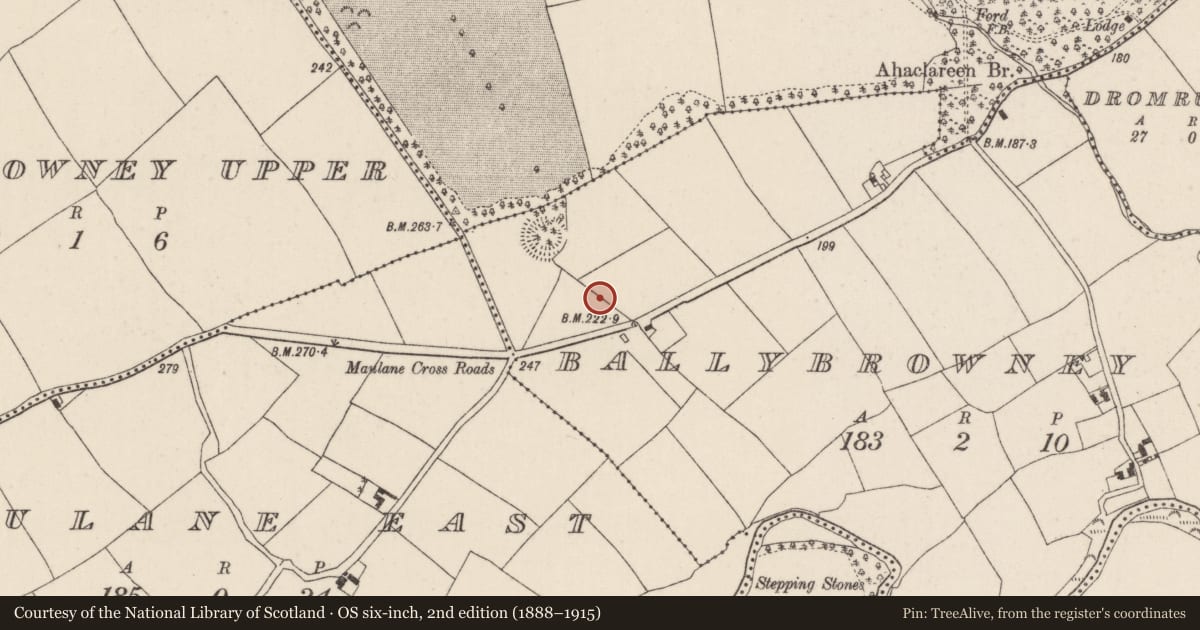 Ordnance Survey six-inch map, 2nd edition (1888–1915) covering the location of Kiln - corn-drying, Ballybrowney Lower, County Cork, with a pin at the register's coordinates