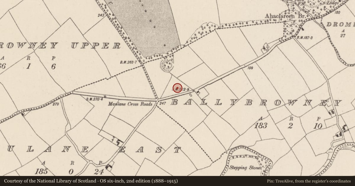 Ordnance Survey six-inch map, 2nd edition (1888–1915) covering the location of Barrow - ditch barrow, Ballybrowney Lower, County Cork, with a pin at the register's coordinates