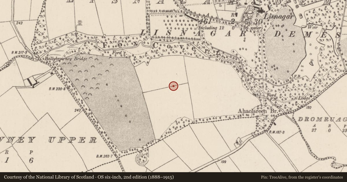 Ordnance Survey six-inch map, 2nd edition (1888–1915) covering the location of Excavation - miscellaneous, Lisnagar Demesne, County Cork, with a pin at the register's coordinates