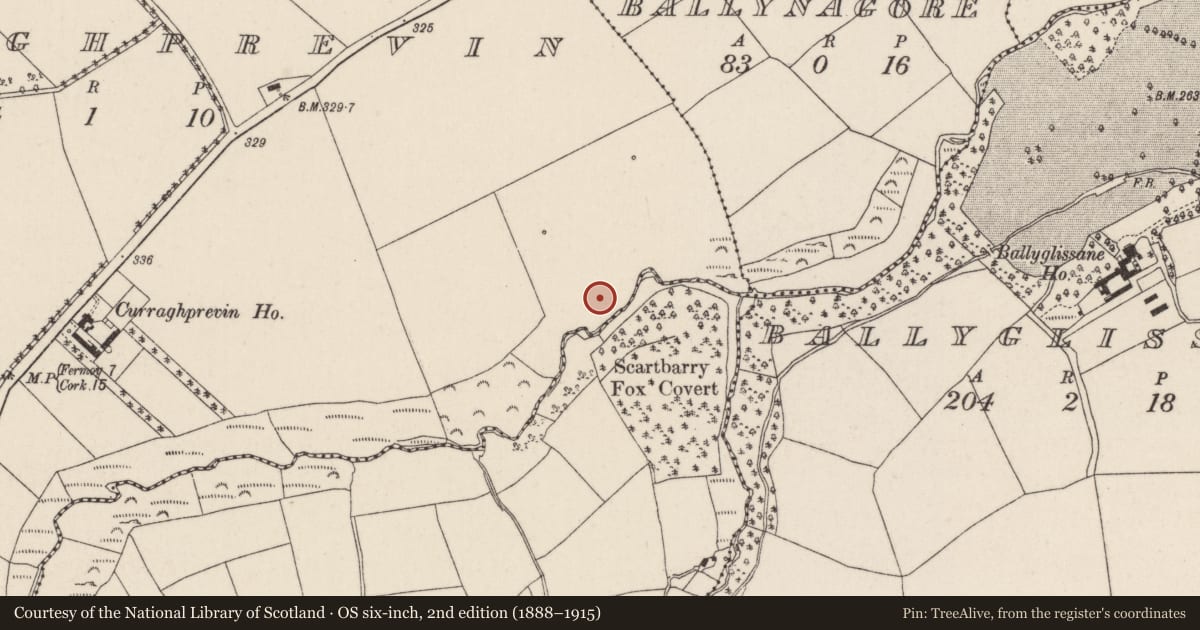 Ordnance Survey six-inch map, 2nd edition (1888–1915) covering the location of Fulacht fia, Curraghprevin, County Cork, with a pin at the register's coordinates