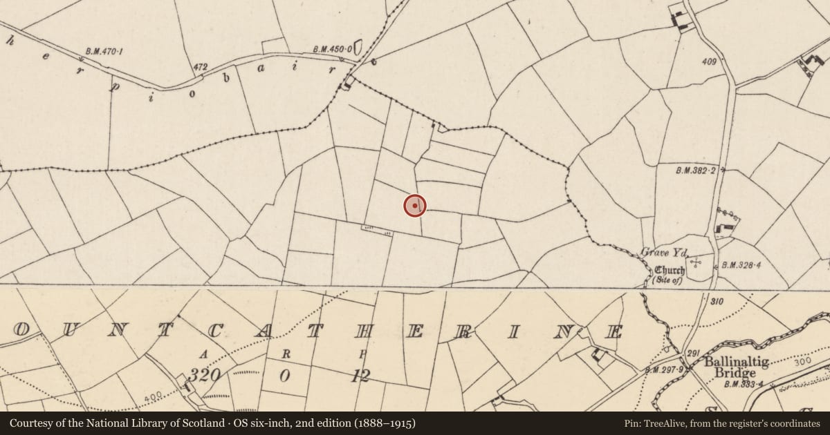 Ordnance Survey six-inch map, 2nd edition (1888–1915) covering the location of Burnt mound, Mountcatherine, County Cork, with a pin at the register's coordinates