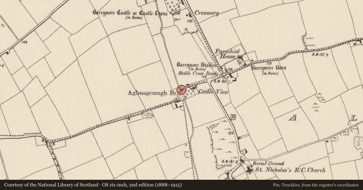 Ordnance Survey six-inch map, 2nd edition (1888–1915) covering the location of Bridge, County Cork, with a pin at the register's coordinates