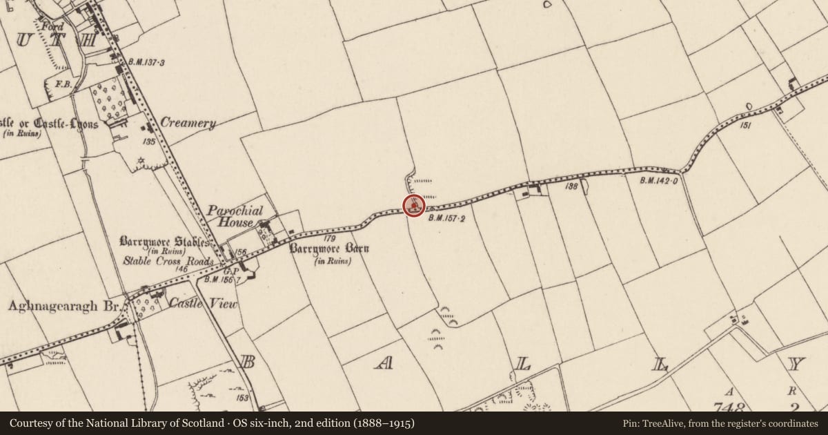Ordnance Survey six-inch map, 2nd edition (1888–1915) covering the location of Kiln - lime, Mohera, County Cork, with a pin at the register's coordinates