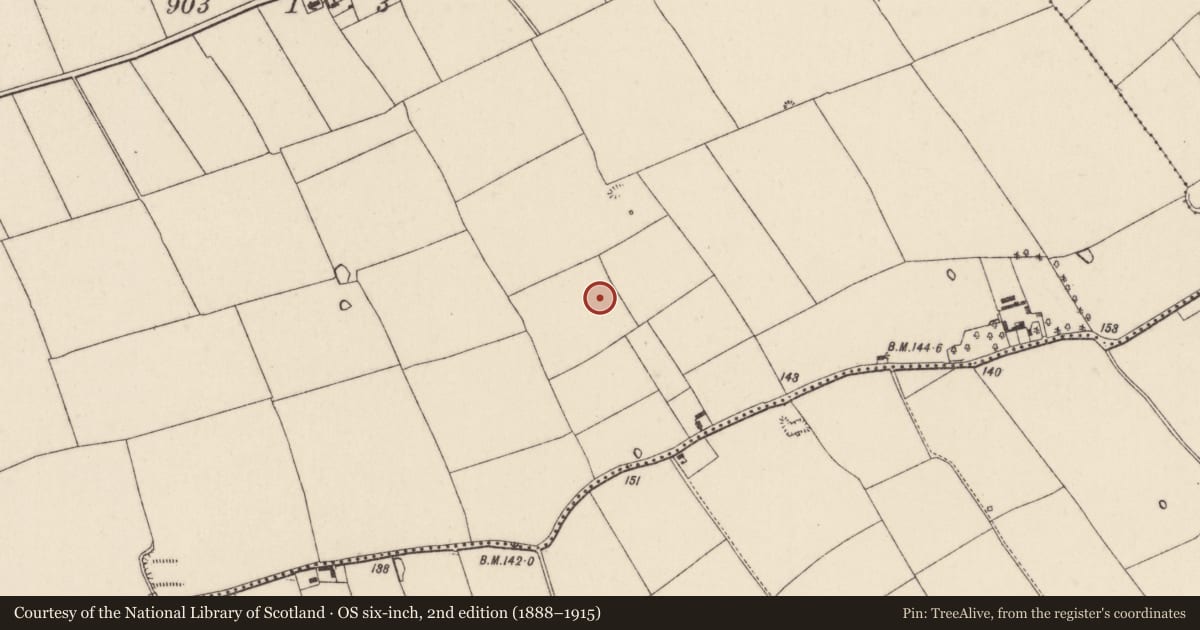 Ordnance Survey six-inch map, 2nd edition (1888–1915) covering the location of Standing stone, Mohera, County Cork, with a pin at the register's coordinates
