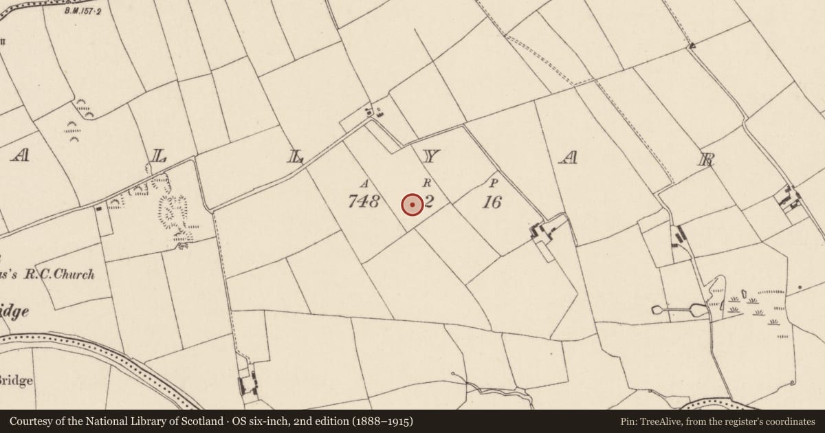 Ordnance Survey six-inch map, 2nd edition (1888–1915) covering the location of Standing stone, Ballyarra, County Cork, with a pin at the register's coordinates
