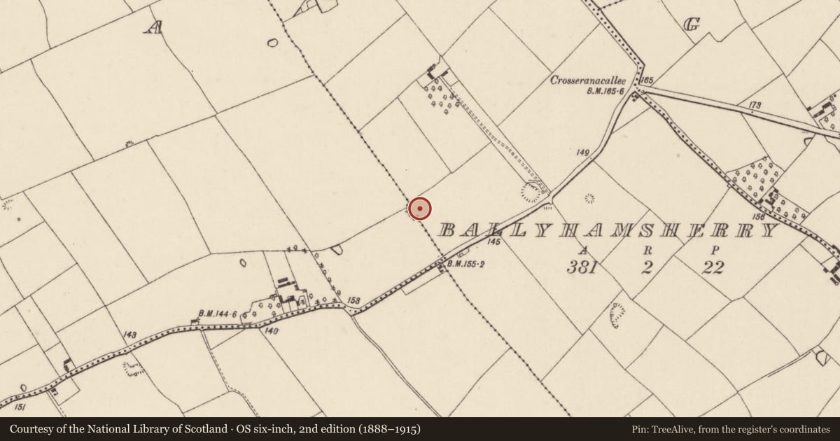 Ordnance Survey six-inch map, 2nd edition (1888–1915) covering the location of Ringfort - rath, Ballyhamsherry, County Cork, with a pin at the register's coordinates