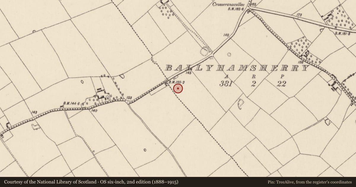 Ordnance Survey six-inch map, 2nd edition (1888–1915) covering the location of Standing stone, Ballyhamsherry, County Cork, with a pin at the register's coordinates