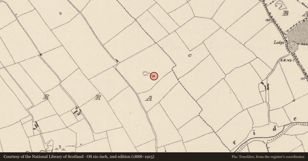 Ordnance Survey six-inch map, 2nd edition (1888–1915) covering the location of Kiln - lime, Ballyarra, County Cork, with a pin at the register's coordinates