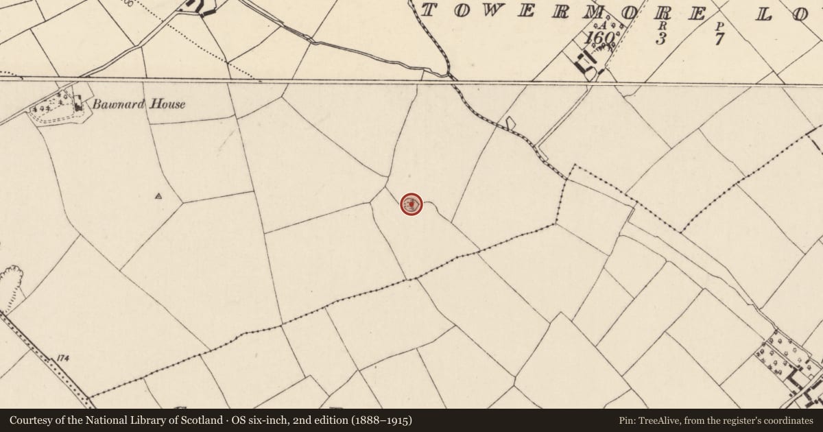 Ordnance Survey six-inch map, 2nd edition (1888–1915) covering the location of Ringfort - rath, Coole Lower, County Cork, with a pin at the register's coordinates