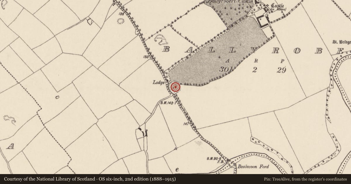 Ordnance Survey six-inch map, 2nd edition (1888–1915) covering the location of Ringfort - rath, Ballyrobert (Barrymore By., Castlelyons Par.), County Cork, with a pin at the register's coordinates