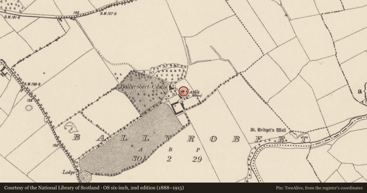 Ordnance Survey six-inch map, 2nd edition (1888–1915) covering the location of Castle - tower house, Ballyrobert (Barrymore By., Castlelyons Par.), County Cork, with a pin at the register's coordinates