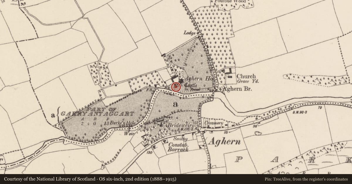 Ordnance Survey six-inch map, 2nd edition (1888–1915) covering the location of Castle - unclassified, Aghern West, County Cork, with a pin at the register's coordinates