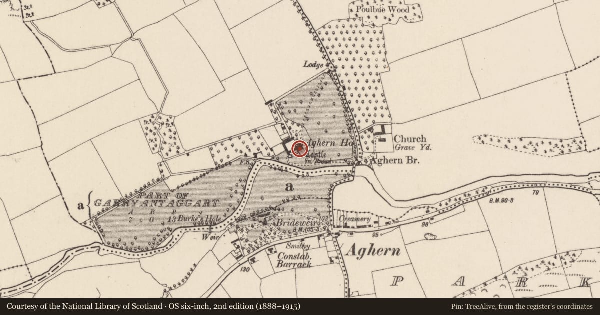 Ordnance Survey six-inch map, 2nd edition (1888–1915) covering the location of Country house, Aghern West, County Cork, with a pin at the register's coordinates