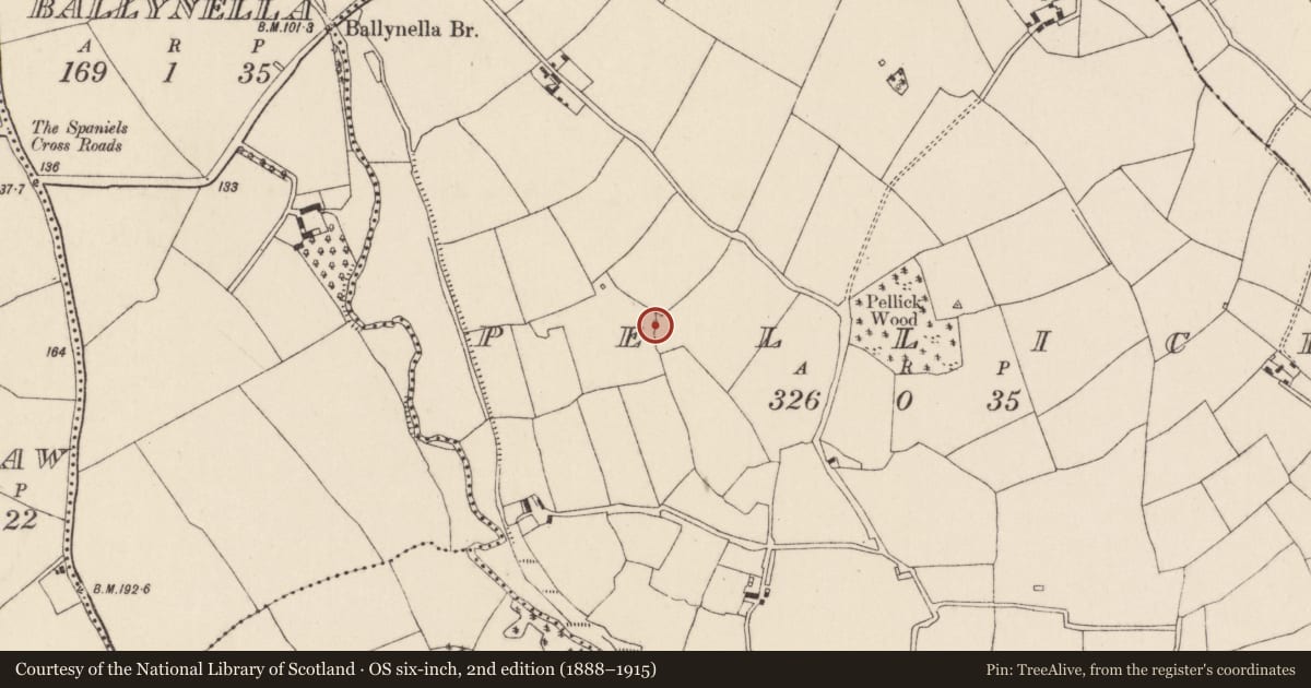 Ordnance Survey six-inch map, 2nd edition (1888–1915) covering the location of Kiln - lime, Pellick, County Cork, with a pin at the register's coordinates