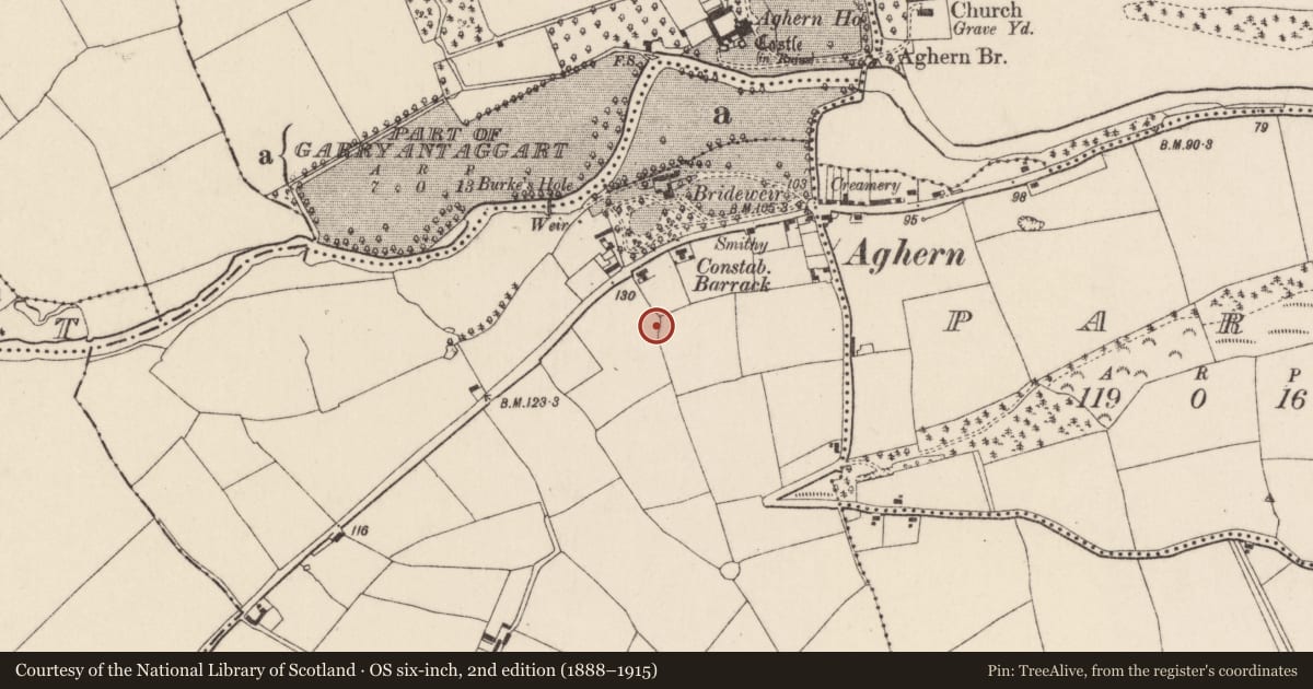 Ordnance Survey six-inch map, 2nd edition (1888–1915) covering the location of Ringfort - rath, Knocknagapple, County Cork, with a pin at the register's coordinates