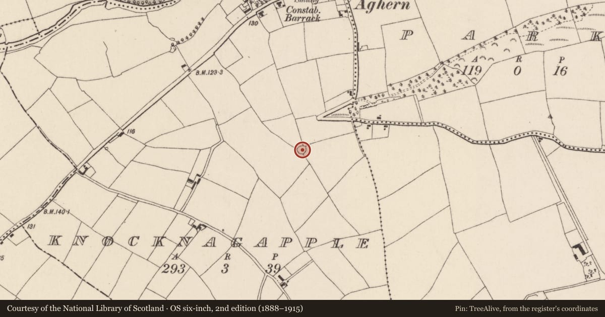 Ordnance Survey six-inch map, 2nd edition (1888–1915) covering the location of Ringfort - rath, Knocknagapple, County Cork, with a pin at the register's coordinates
