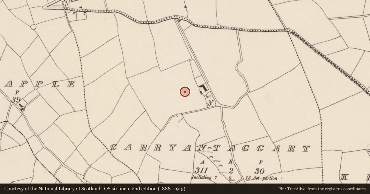 Ordnance Survey six-inch map, 2nd edition (1888–1915) covering the location of Standing stone, Garryantaggart, County Cork, with a pin at the register's coordinates