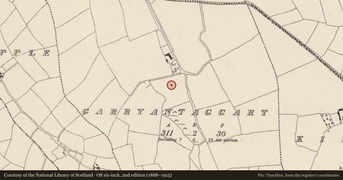 Ordnance Survey six-inch map, 2nd edition (1888–1915) covering the location of Fulacht fia, Garryantaggart, County Cork, with a pin at the register's coordinates