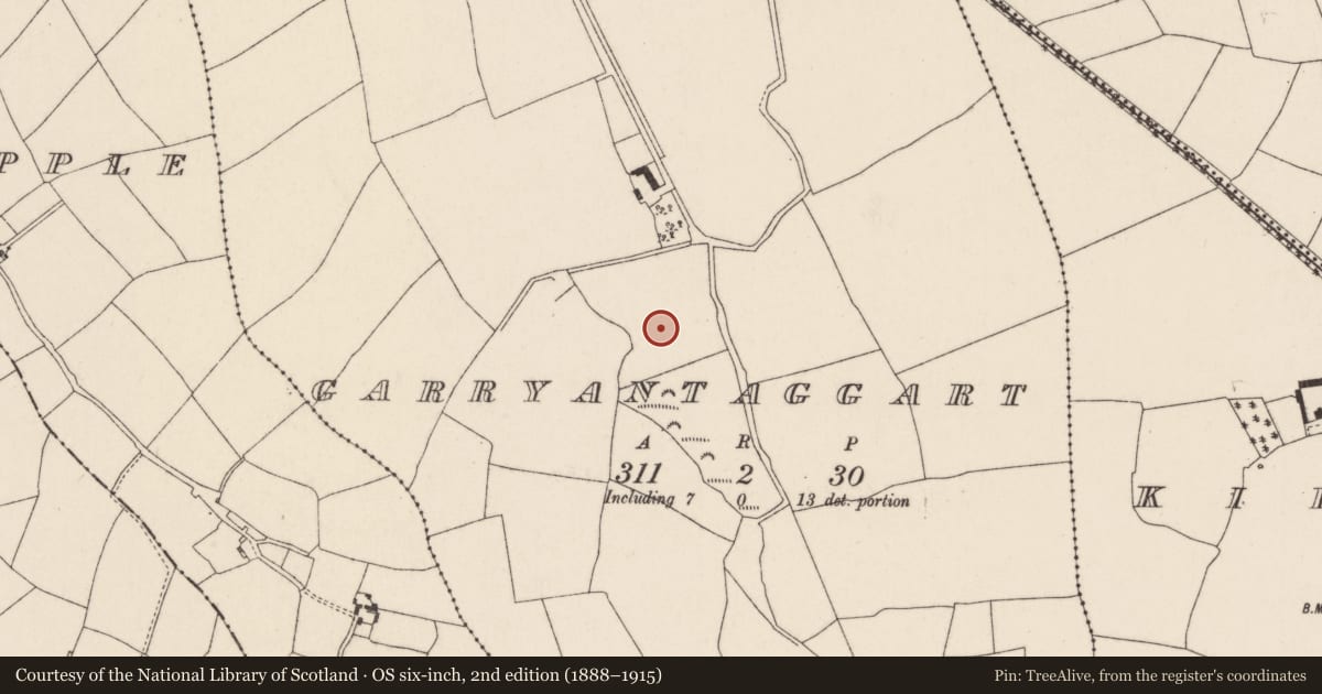 Ordnance Survey six-inch map, 2nd edition (1888–1915) covering the location of Fulacht fia, Garryantaggart, County Cork, with a pin at the register's coordinates