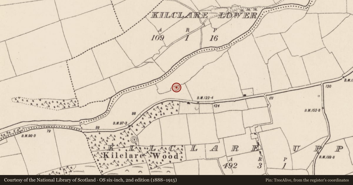 Ordnance Survey six-inch map, 2nd edition (1888–1915) covering the location of Ringfort - rath, Kilclare Upper, County Cork, with a pin at the register's coordinates