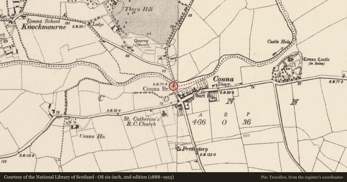 Ordnance Survey six-inch map, 2nd edition (1888–1915) covering the location of Bridge, Conna, County Cork, with a pin at the register's coordinates