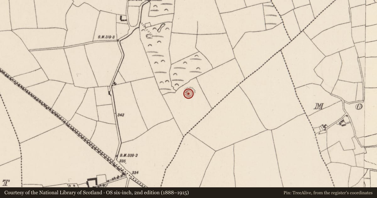 Ordnance Survey six-inch map, 2nd edition (1888–1915) covering the location of Ringfort - rath, Kilclare Upper, County Cork, with a pin at the register's coordinates