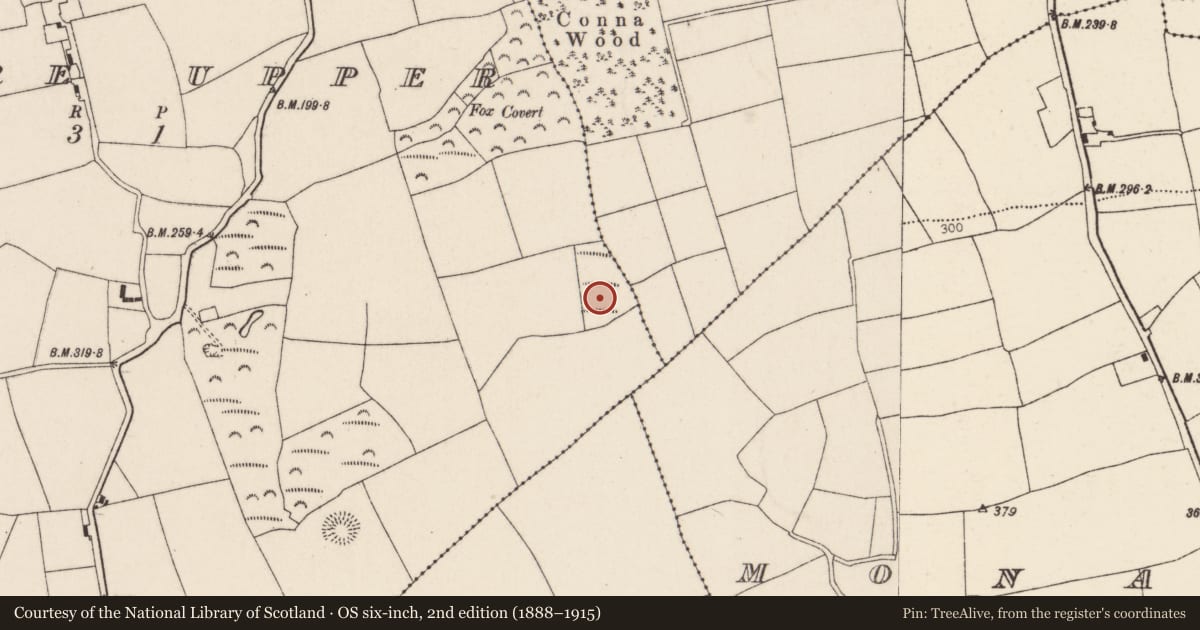 Ordnance Survey six-inch map, 2nd edition (1888–1915) covering the location of Fulacht fia, Kilclare Upper, County Cork, with a pin at the register's coordinates