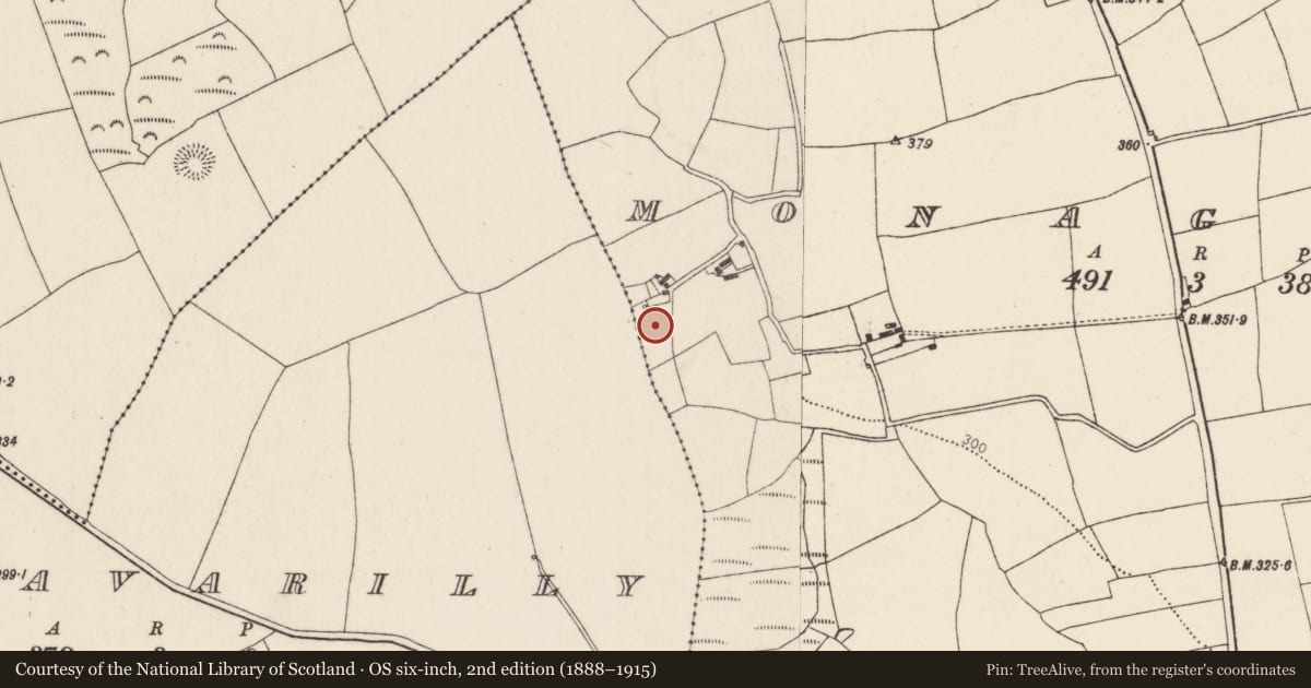 Ordnance Survey six-inch map, 2nd edition (1888–1915) covering the location of Fulacht fia, Monagoun, County Cork, with a pin at the register's coordinates