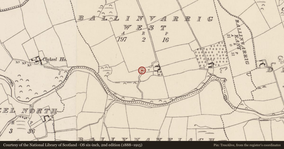 Ordnance Survey six-inch map, 2nd edition (1888–1915) covering the location of Ringfort - rath, Ballinvarrig West, County Cork, with a pin at the register's coordinates