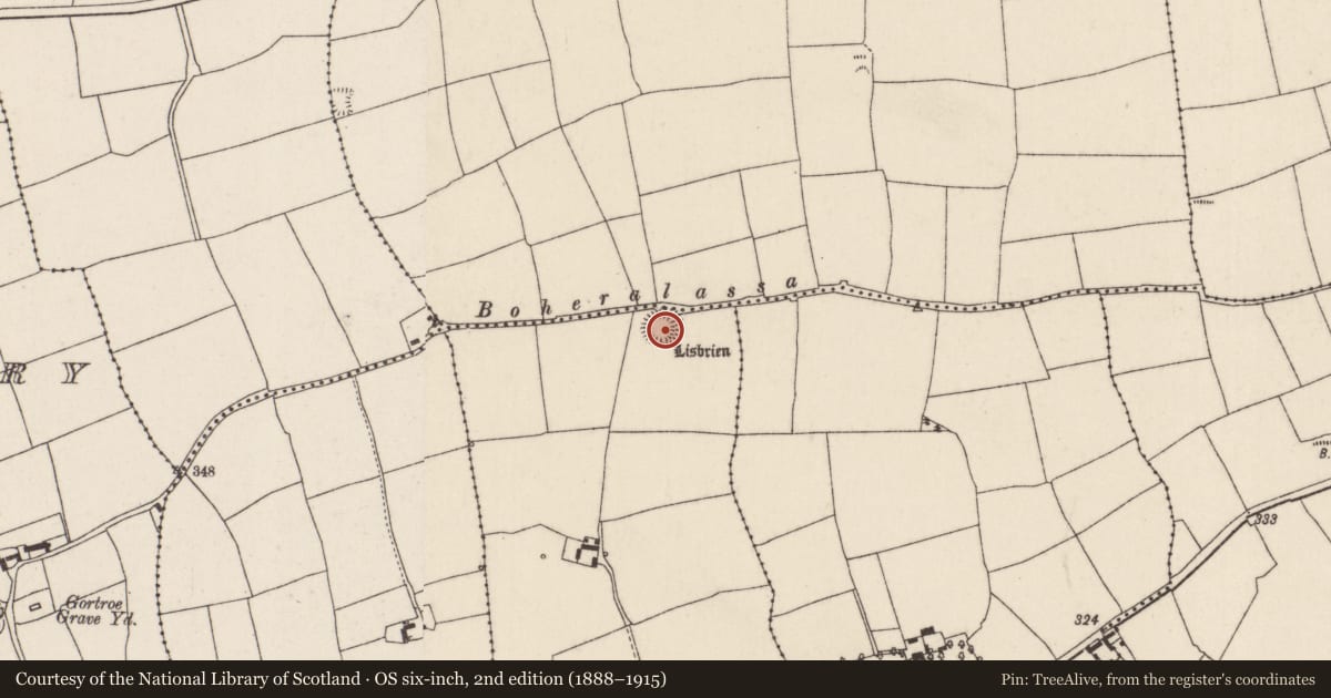 Ordnance Survey six-inch map, 2nd edition (1888–1915) covering the location of Ringfort - rath, Curraghphlibbode, County Cork, with a pin at the register's coordinates