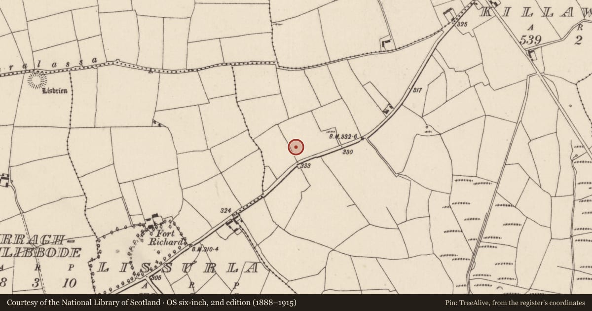 Ordnance Survey six-inch map, 2nd edition (1888–1915) covering the location of Fulacht fia, Killawillin, County Cork, with a pin at the register's coordinates