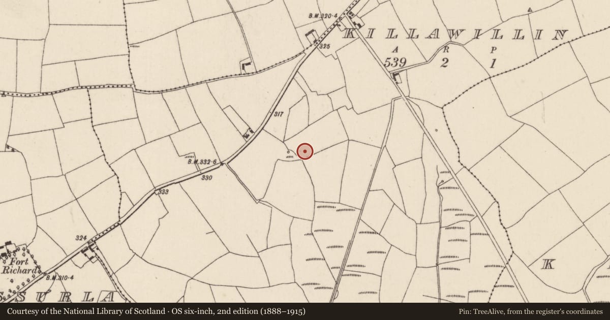 Ordnance Survey six-inch map, 2nd edition (1888–1915) covering the location of Fulacht fia, Killawillin, County Cork, with a pin at the register's coordinates